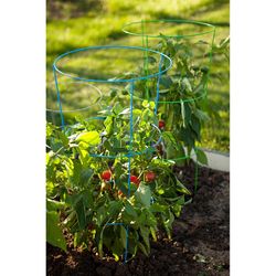 Panacea Vibrant 42 in. H X 16 in. W Green Steel Tomato Cage (ASSORTED COLORS)