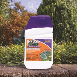Bonide Infuse Concentrated Liquid Disease Control 16 oz
