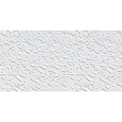 USG Ceilings Tabaret Non-Directional 48 in. L X 24 in. W 0.63 in. Square Edge Ceiling Panel 1 pk