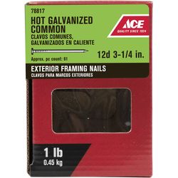 Ace 12D 3-1/4 in. Common Hot-Dipped Galvanized Steel Nail Flat Head 1 lb