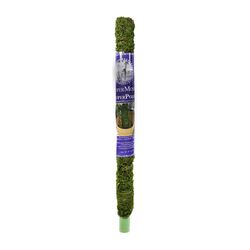 SuperMoss 24 in. H X 2 in. W X 2 in. D Green Moss Plant Support