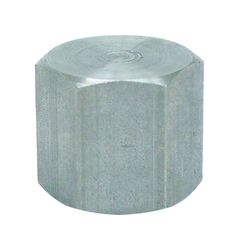 Anvil 1/4 in. FPT Malleable Iron Cap
