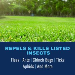 BioAdvanced Lawn Insect Killer Concentrate 40 oz