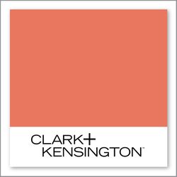 Clark+Kensington Vivid Blooms 09C-6