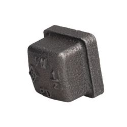 STZ Industries 1/2 in. FIP each Black Iron Cap