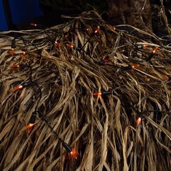 Celebrations Orange 100 ct LED Mini Halloween String Lights