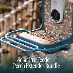 Bird Buddy 4 cups Plastic Perch Extender Smart-Enabled Smart Solar Camera Bird Feeder 1 ports