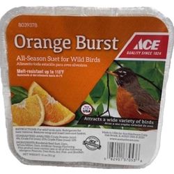 Ace Orange Burst Suet 11 oz