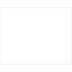 Bazic Products 22 in. W X 28 in. L White Poster Board