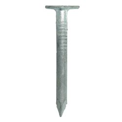 Grip-Rite 1-1/4 in. Roofing Hot-Dipped Galvanized Steel Nail Flat Head 1 lb