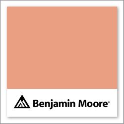Benjamin Moore Coral Spice 2170-40