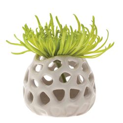 Chive Gideon 2.5 in. D Ceramic Air Plant and Succulent Planet Moon
