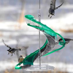 Cascade Songbird 1 lb Polypropylene Helix Hanging Bird Feeder 4 ports