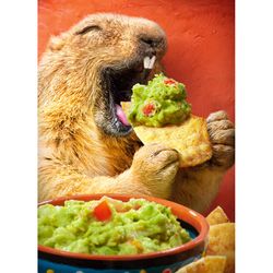 Avanti Press Seasonal Ground Hog Chip Dip Father's Day Card Paper 2 pc