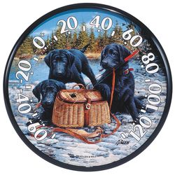 AcuRite Lab Puppies Dial Thermometer Plastic Multicolored 12.5 in.