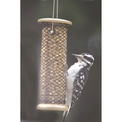 Birds Choice Woodpecker 2 lb Metal Mesh Tube Bird Feeder