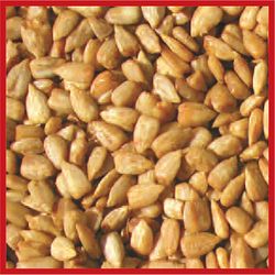 Cole's Hot Meats Wild Bird Food 5 lb