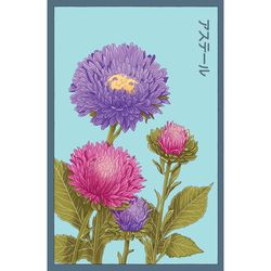 Chive Shido Seed Co Aster Seeds 1 pk
