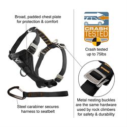 PetSafe Tru-Fit Black Smart Nylon Dog Harness Large