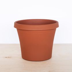 Bloem Terra 3.75 in. H X 4.25 in. W Resin Traditional Planter Terra Cotta
