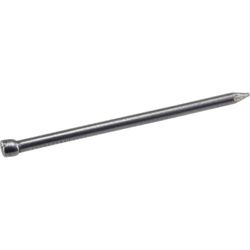 HILLMAN 8D 2-1/2 in. Finishing Bright Steel Nail Brad Head