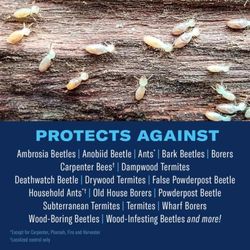 BioAdvanced Termite Killer Foam 18 oz