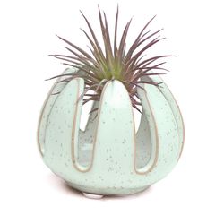 Chive Gideon 2.5 in. D Ceramic Air Plant and Succulent Grassy Green