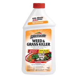 Spectracide Weed and Grass Killer Concentrate 32 oz