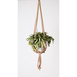 Primitive Planters Beige/Tan Jute 36 in. H Plant Hanger 1 pk
