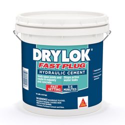 Drylok Fast Plug Hydraulic & Anchoring Cement 10 lb Gray