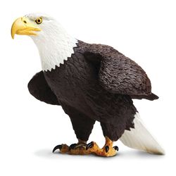 Safari Ltd. Incredible Creatures Bald Eagle Toy Multicolored