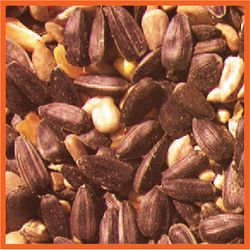 Cole's Blazing Hot Blend Wild Bird Food 5 lb