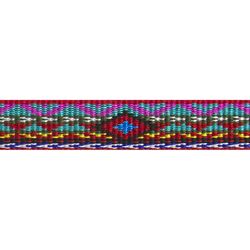 LupinePet Original Designs Multicolor El Paso Nylon Dog Leash