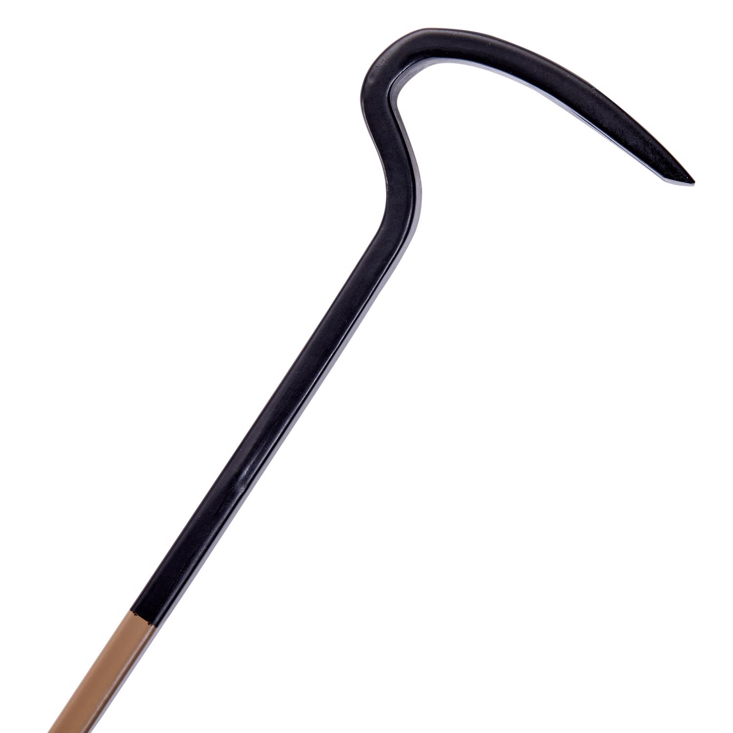 image-7