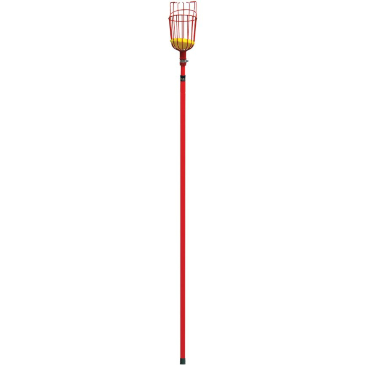 image-1