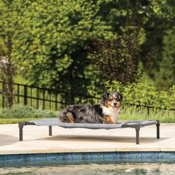 Coolaroo Gray Polyethylene Elevated Pet Bed 6.3 in. H X 27.5 in. W X 41 in. L