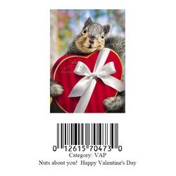 Avanti Press Greeting Cards