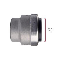QuickFitting Push to Connect 3/4 in. PF in. Stainless Steel Cap