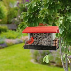 Woodlink Going Green Wild Bird 4 lb Plastic Ranch Hopper with Suet Cage Bird Feeder