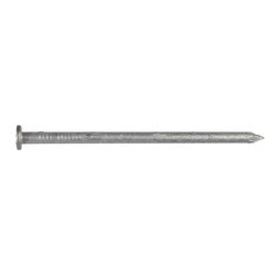 Simpson Strong-Tie 16D 3-1/2 in. Wood Joiner Hot-Dipped Galvanized Steel Nail Round Head 5 lb