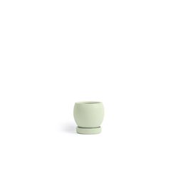 Momma Pots Gemstone Bollé 4.25 in. W Porcelain Planter Sage