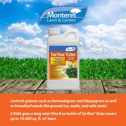 Monterey Turflon Ester Broadleaf Herbicide Concentrate 8 oz