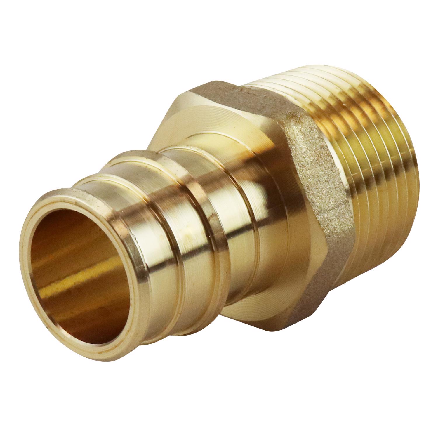 image-2