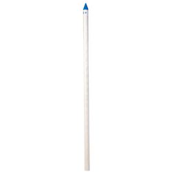 Campbell Brady PVC White 1.5 in. Pointed Well Screen
