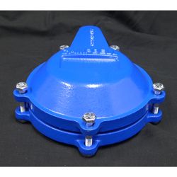 Campbell Cast Iron 6 5/8 in. Well Cap