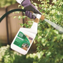 Bonide Mossmax Moss Killer RTS Hose-End Concentrate 32 oz
