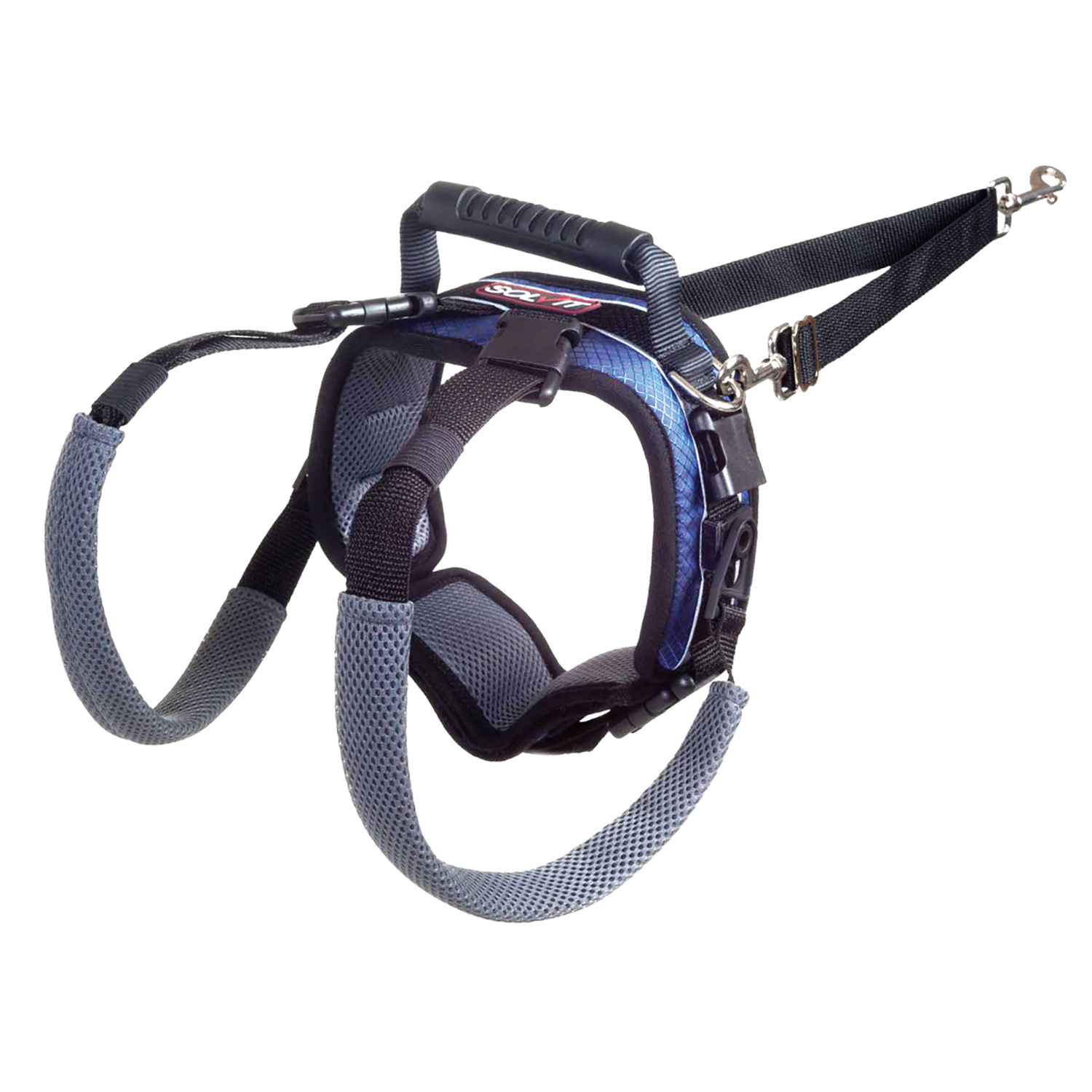 image-1