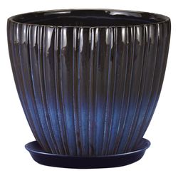 Border Concepts 6 in. W Ceramic Lady Jane Cup Planter Rain Grey