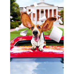 Avanti Press Seasonal Basset Hound in Limo Dog Graduation Card Paper 2 pc