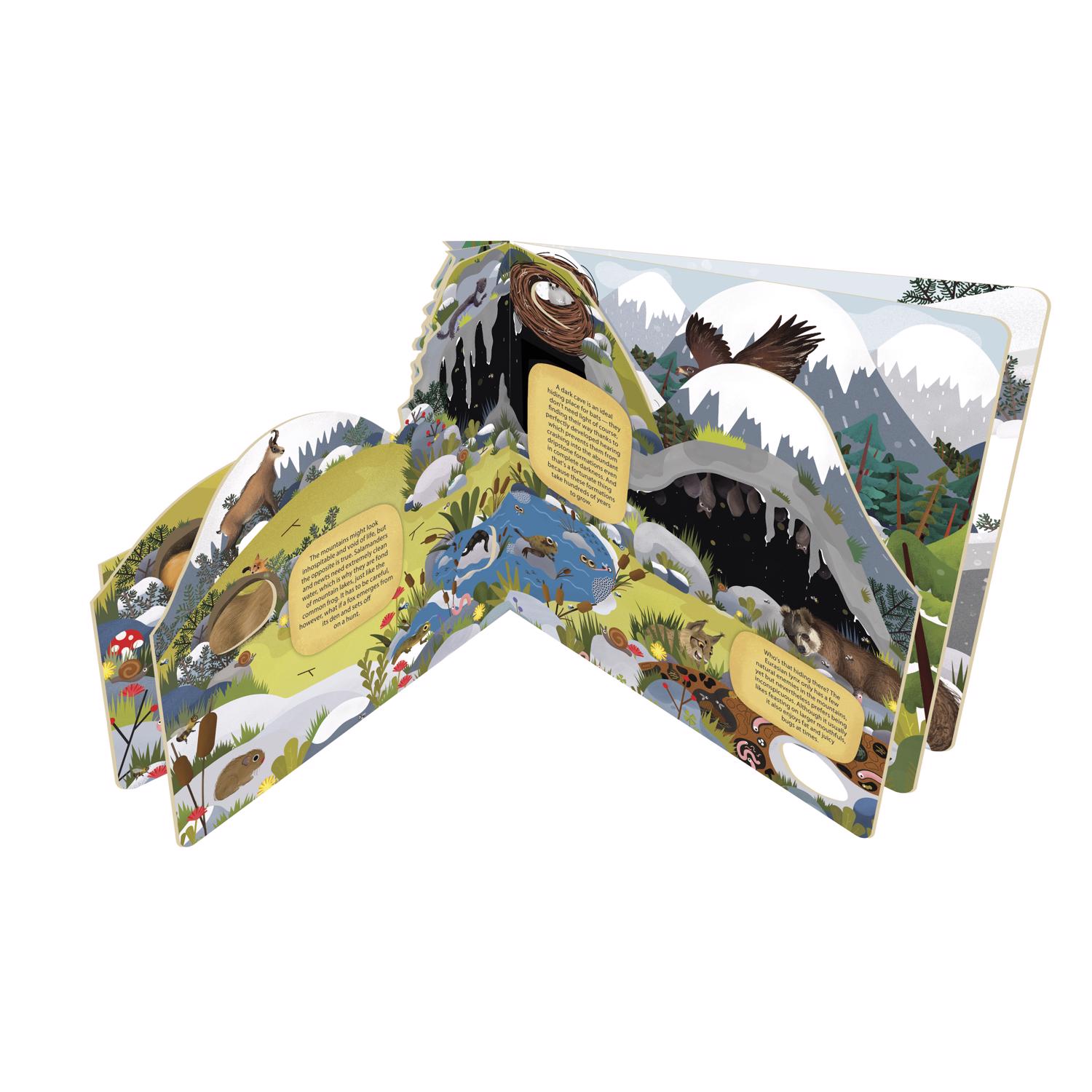 image-3